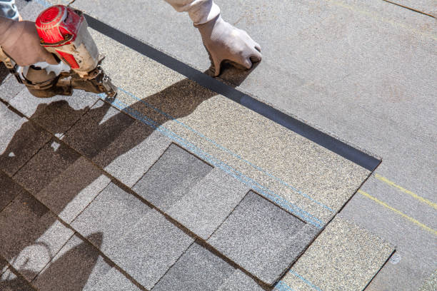 Best Shingle Roofing Installation  in Hutchinson Island South, FL