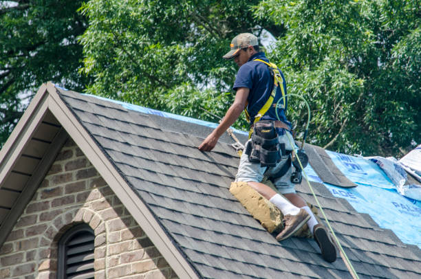 Best Flat Roof Repair Services  in Hutchinson Island South, FL