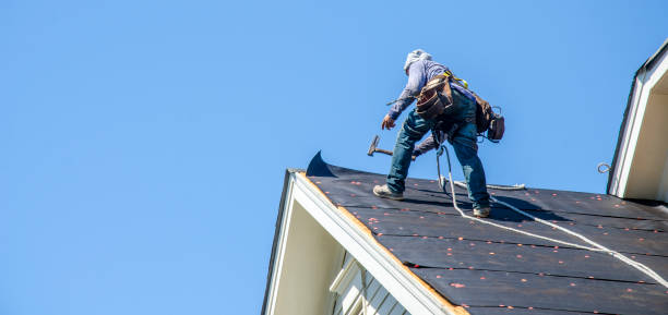 Best Local Roofing Companies  in Hutchinson Island South, FL